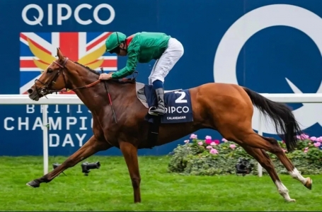 Calandagan wins Group1 QIPCO with jockey Michael Barzalona Calandagan wins Group1 QIPCO with jockey Michael Barzalona